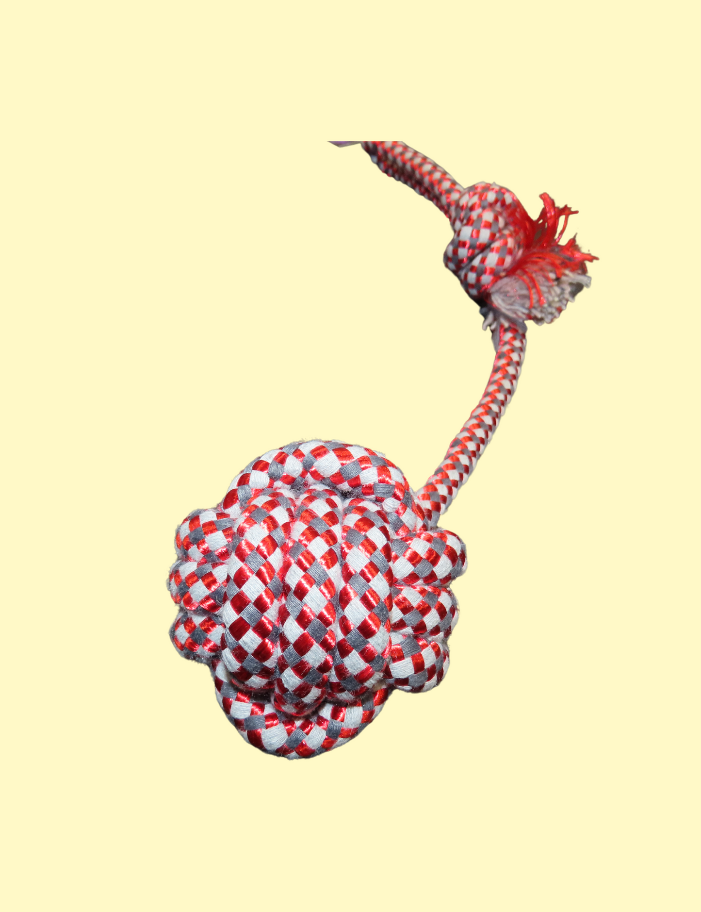 Rope Toy