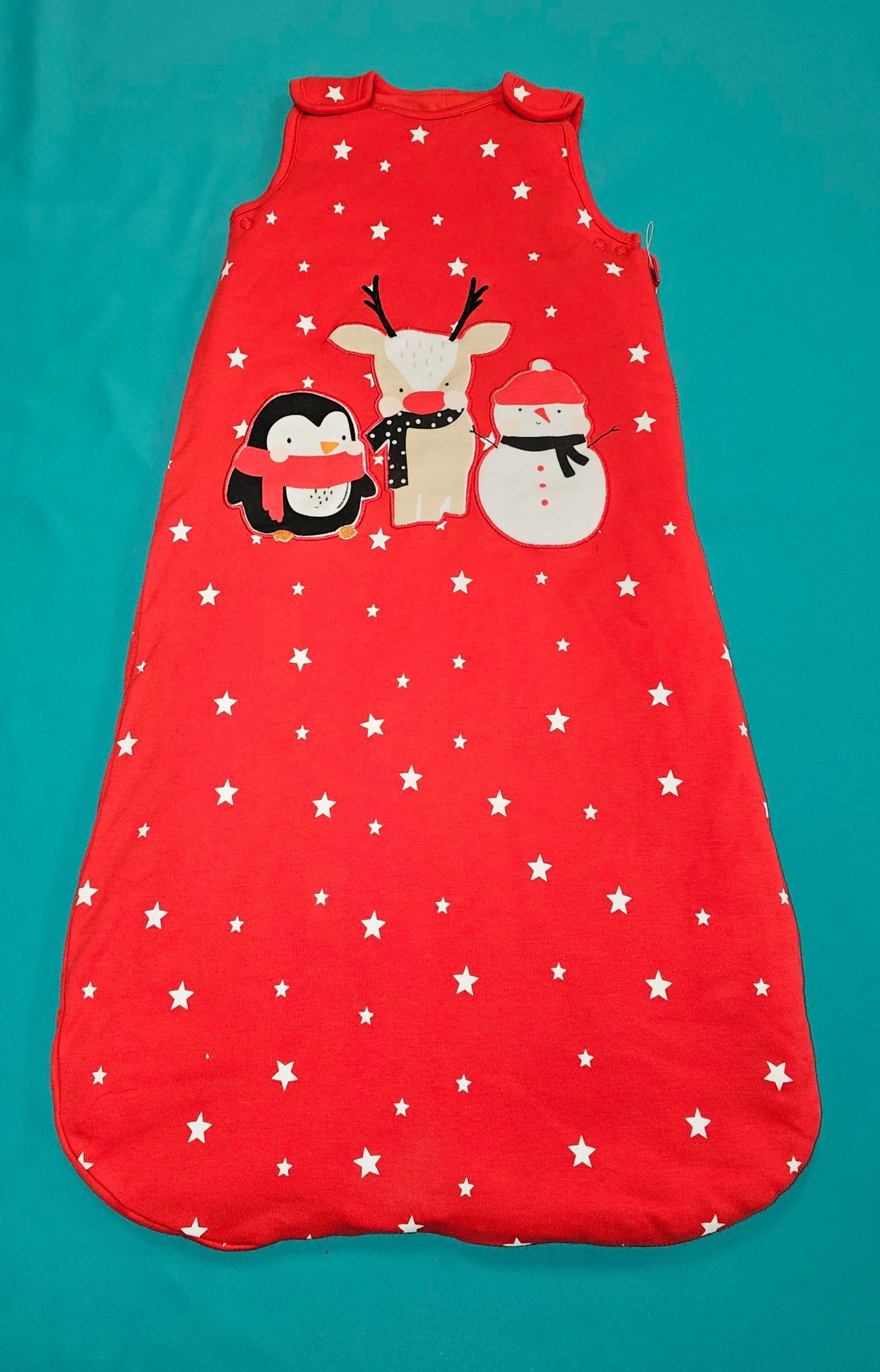 Christmas - Sleeping Bag