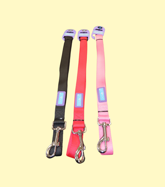 Dog Lead
