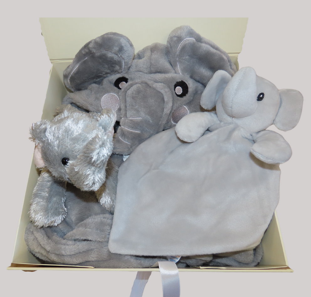 The Finley Gift Set
